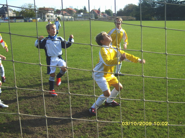 sp10.jpg