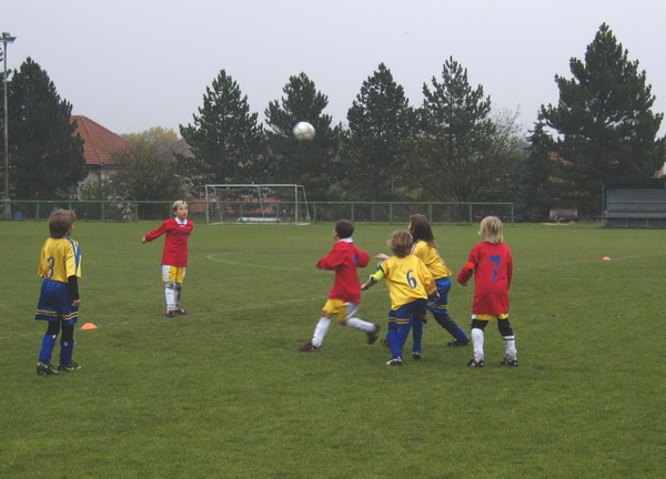 SS107121.jpg