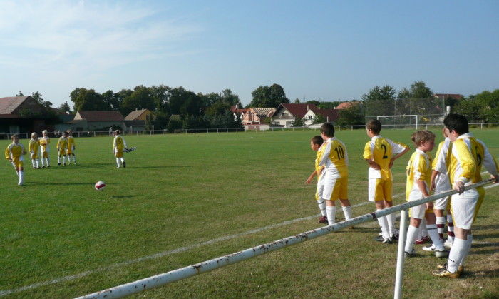 13.jpg
